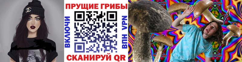 купить наркоту  мега tor  Галлюциногенные грибы GOLDEN TEACHER  Славгород 
