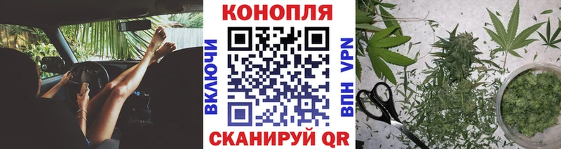 купить  сайты  Славгород  Конопля VHQ 